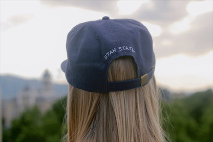 STATE - Utah State Hat